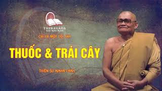 3. Thuốc Và Trái Cây | Thiền Sư Ajahn Chah - Chỉ Là Một Cội Cây