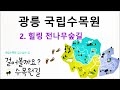 광릉국립수목원 - 힐링 전나무숲길 #광릉수목원 #가을여행 #전나무숲길