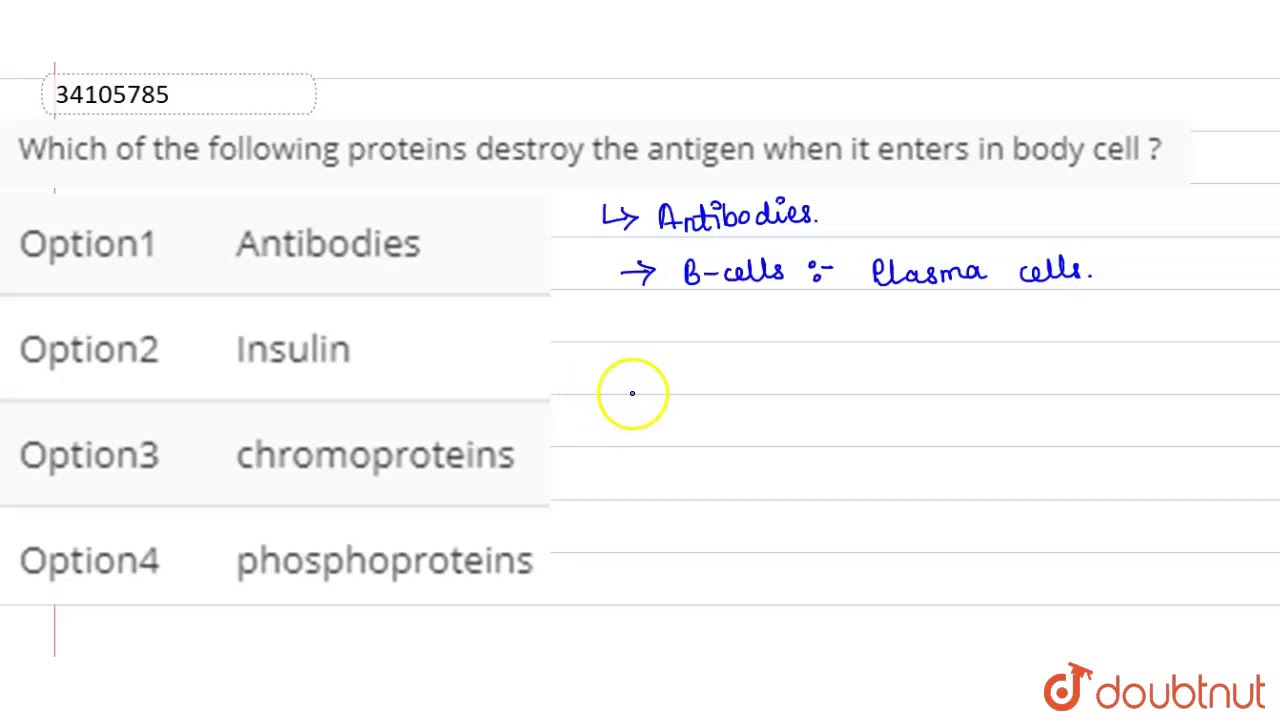 Which of the following proteins destroy the antigen when it enters in