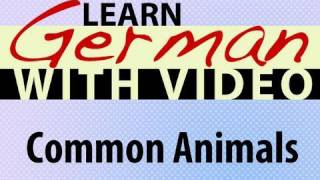 Learn German with Video - Common Animals