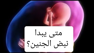 هل تعلم ‫متى يبدأ نبض الجنين ؟ في اي شهر !! متى يسمع نبض الجنين ؟ | متى يبدأ نبض الجنين اي اسبوع‬‎