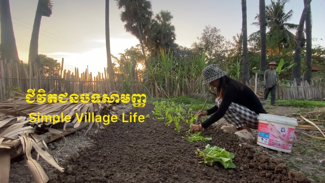 Peaceful Village Life | Planting Vegetables at Sunset
