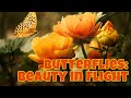 Captivating Butterflies: Nature's Flying Jewels 🦋✨