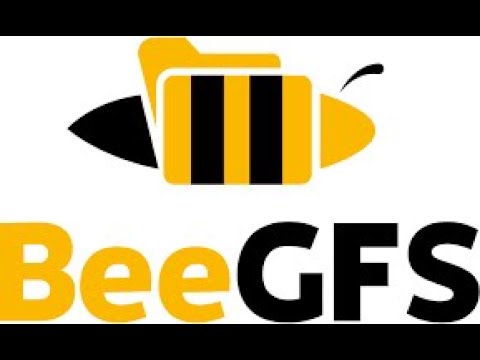 BeeGFS, Paralel File System, Online Workshop Studia FAMU & Agora Plus, 2021