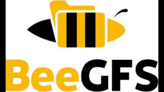 BeeGFS, Paralel File System, Online Workshop Studia FAMU & Agora Plus, 2021 Profile