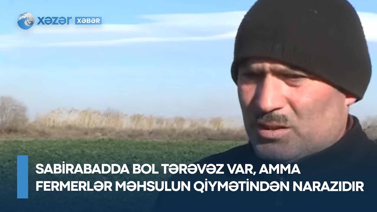 Sabirabadda bol tərəvəz var, amma fermerlər məhsulun qiymətindən narazıdır