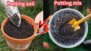 potting mix or potting soil