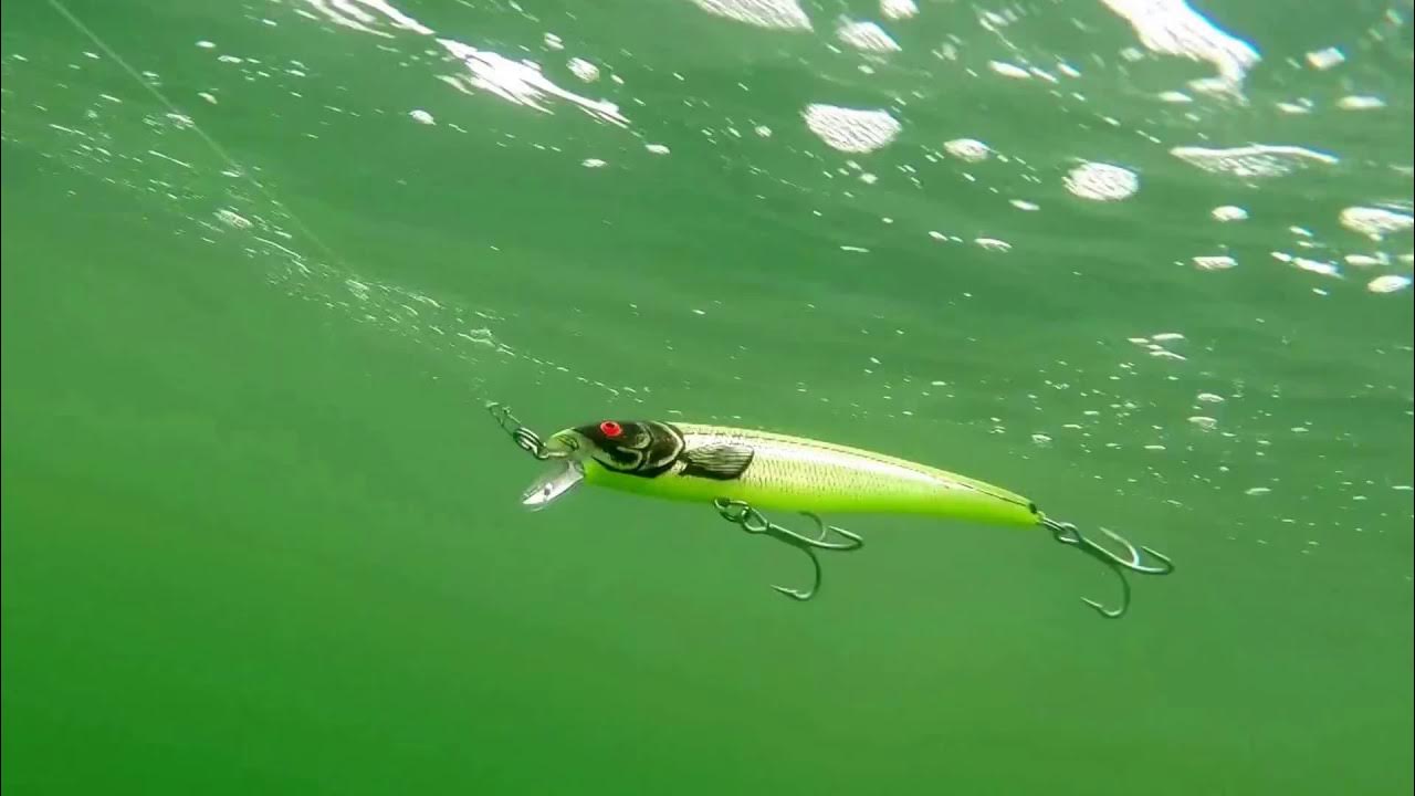 How Lures Swim Bomber Magnum Long A 