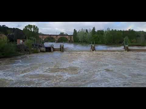 15-04-2025 - piena Tevere, Ponte San Giovanni(PG)-