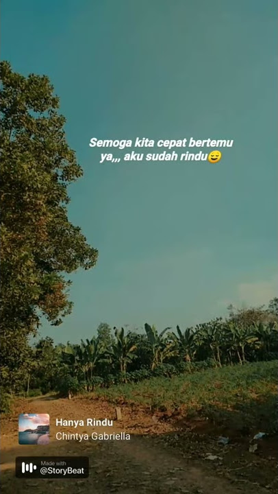 Semoga kita cepat bertemu🌻