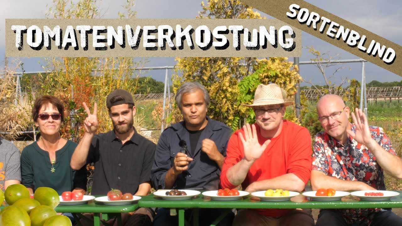 Tomatenverkostung 12 Sorten - mit Selbstversorger Rigotti und anderen Freunden
