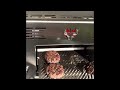 First Cook on the Schwank Infrared Grill