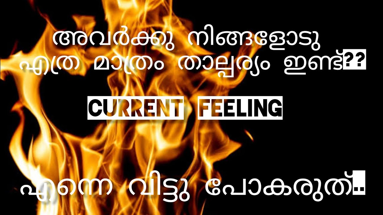 അവരുടെ മനസ്സിൽ നിങ്ങളെ കുറിച്ച് എന്താണ് ചിന്ദിക്കുന്നത് എന്നറിയാം വീഡിയോ കാണുക ❤️❤️#love #feeling