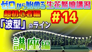 ゼロから始める生花祭壇講習_#14_「波型」のライン_講座編