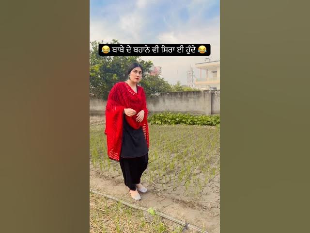 Punjabi husband and wife funny videos 😂. #india #comedy #husbandwifefunny #punjabi #funny #newreel