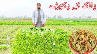 Palak ke pakoray banane ka tarika by saad official vlog l Pakistan village life style Desi foods
