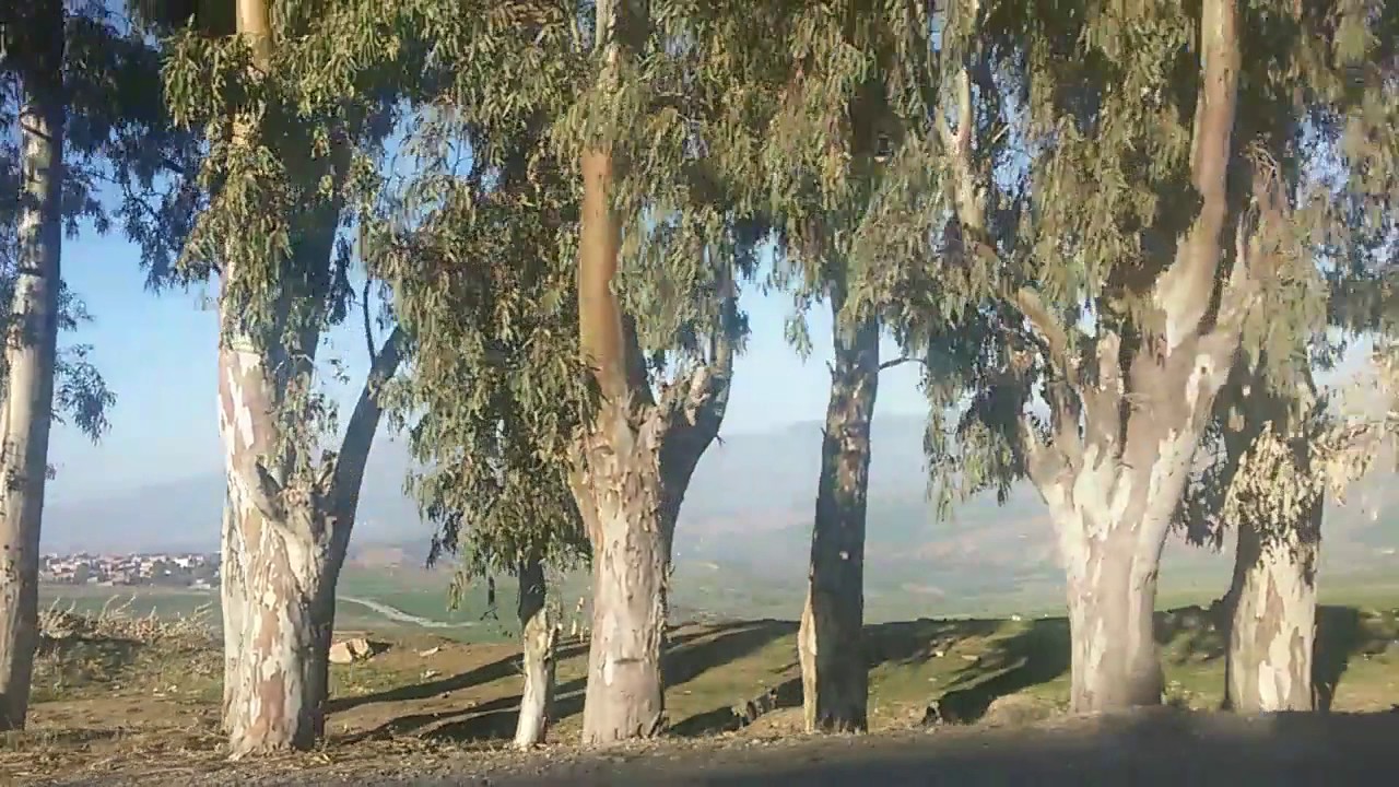 عزابة ------ عين التين AIN-TINN