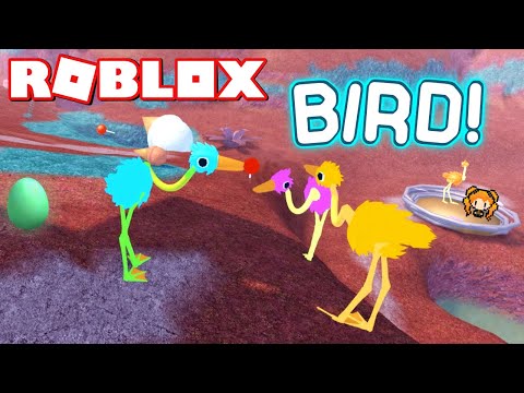 Roblox Bird Brand New Hilarious Animal Game With Hidden Candy Animations Controls Youtube - roblox bird brand new hilarious animal game with hidden candy animations controls youtube