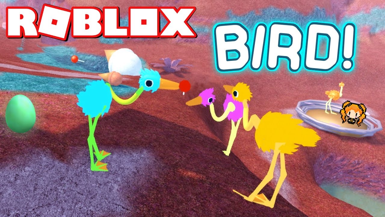 Roblox Bird Brand New Hilarious Animal Game With Hidden Candy Animations Controls Youtube - roblox game where you can turn into kamikaze