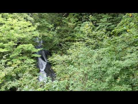 豊平峡ダムへ向かう電気バスから見える自然（九段の滝）
