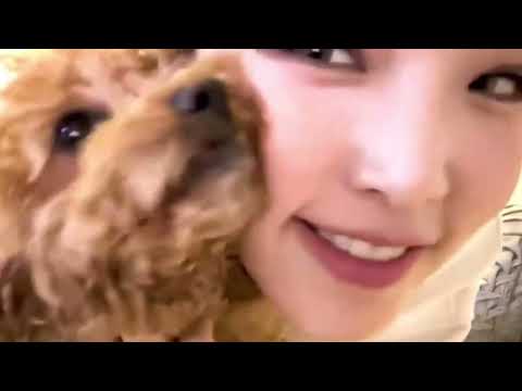 최예나 - Your dogs loves you