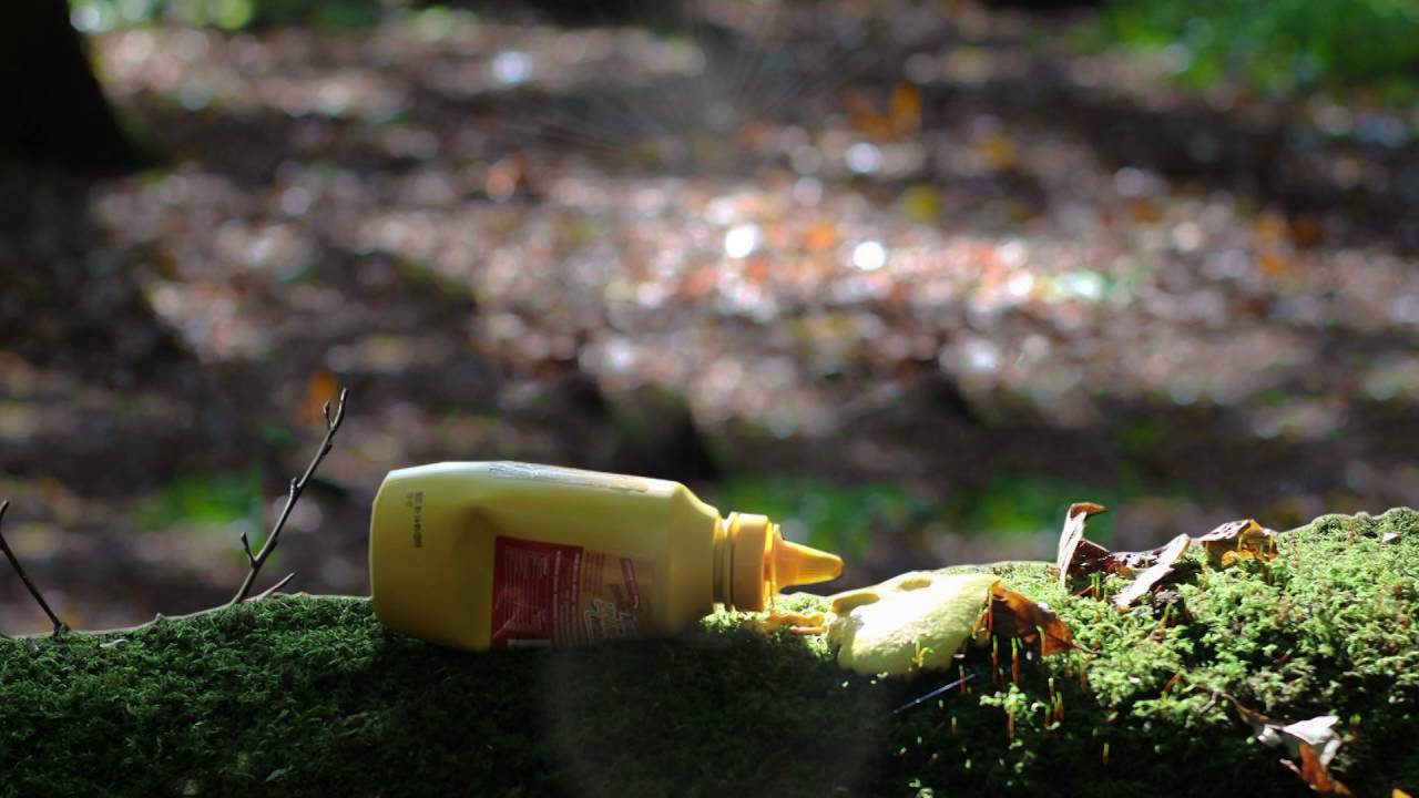 Mustard by Dan Smallwood