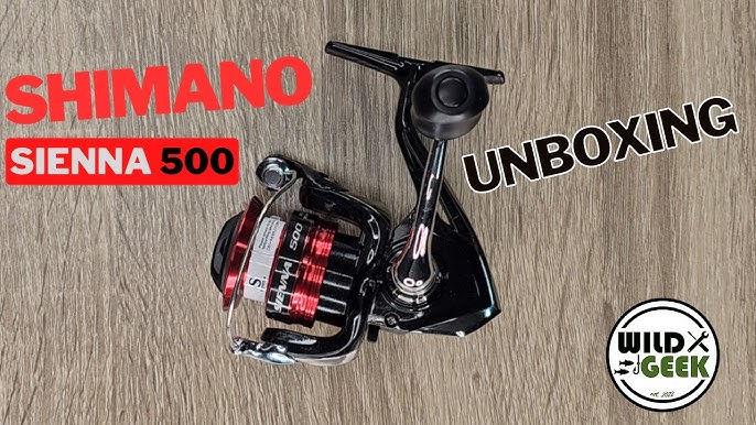 Shimano Sienna 3000 / Pre - Service 