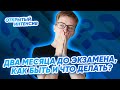 ДВА МЕСЯЦА ДО ЭКЗАМЕНА. КАК БЫТЬ И ЧТО ДЕЛАТЬ? I PARTA Математика ОГЭ