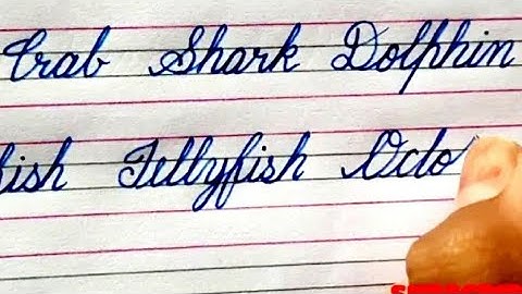 Names of Water Animals in English/Cursive Handwriting Practice for Beginners