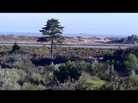 Het Zwin Knokke-Heist