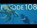 Episode 108  humans  molluscs