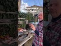 Triglie totani e tonno alla griglia #foodblogger #food #grilltime # pesceingriglia #bbq # barbecue
