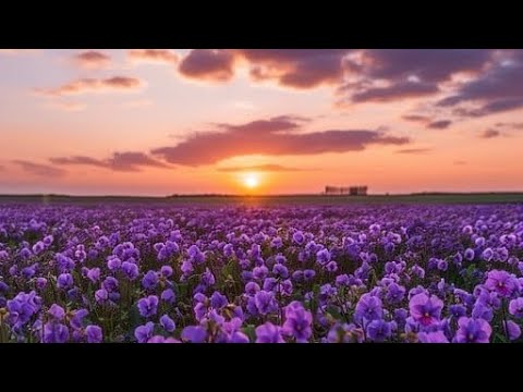 Flowers - Yung Kai (1 Hour)