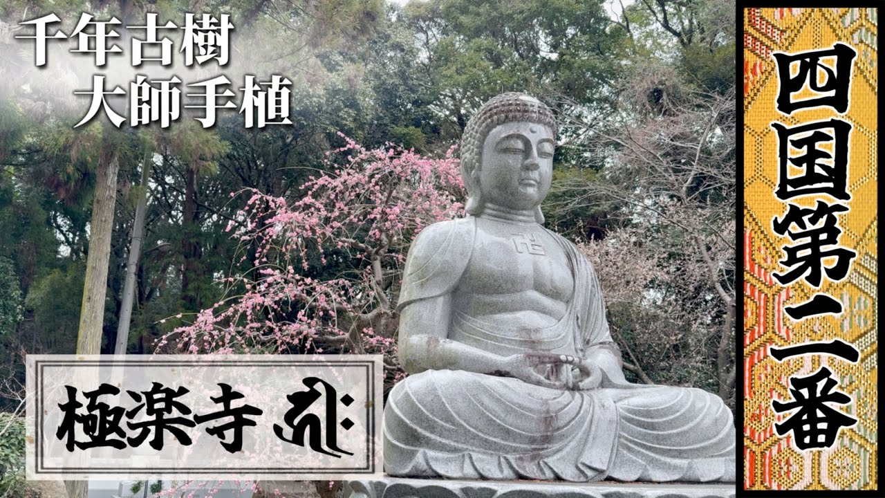 四國遍路｜第二番｜極樂寺：古樹下的古刹