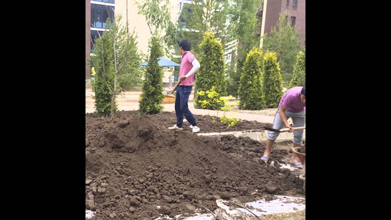 Квартирные и офисные переезды в Алматы - YouTube