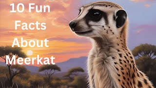 10 Fun Facts About Meerkats You Won’t Believe!