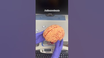 Medication Classes You Need To Know  🩺💊💉🦠 #RN #BSN #futurenurse