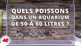 Quels poissons pour un aquarium 60 litres ?