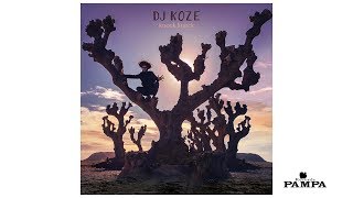 Miniatura de "DJ Koze - Illumination feat. Roísín Murphy (Radio Edit)"