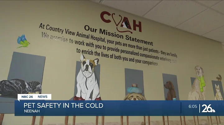 If It’s too cold for you, it’s too cold for your pets: How to keep pets safe from the cold