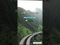 Best time for study#shorts #study#motivation #exam #public #boardexam #trending#viral #public