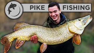 Pike Fishing Made Easy  An Introduction To Pike Fishing