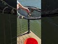 How Pawpaw Catches His Own Bait 🎣 Minnow Trap