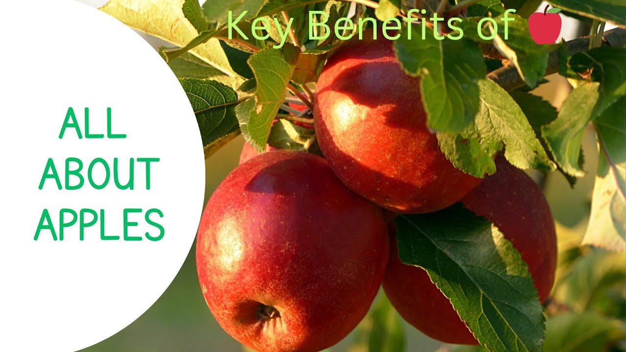 Key Benefits of Apple।। Apple Health Benefits 