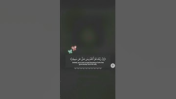 القارئ : سالم الرويلي