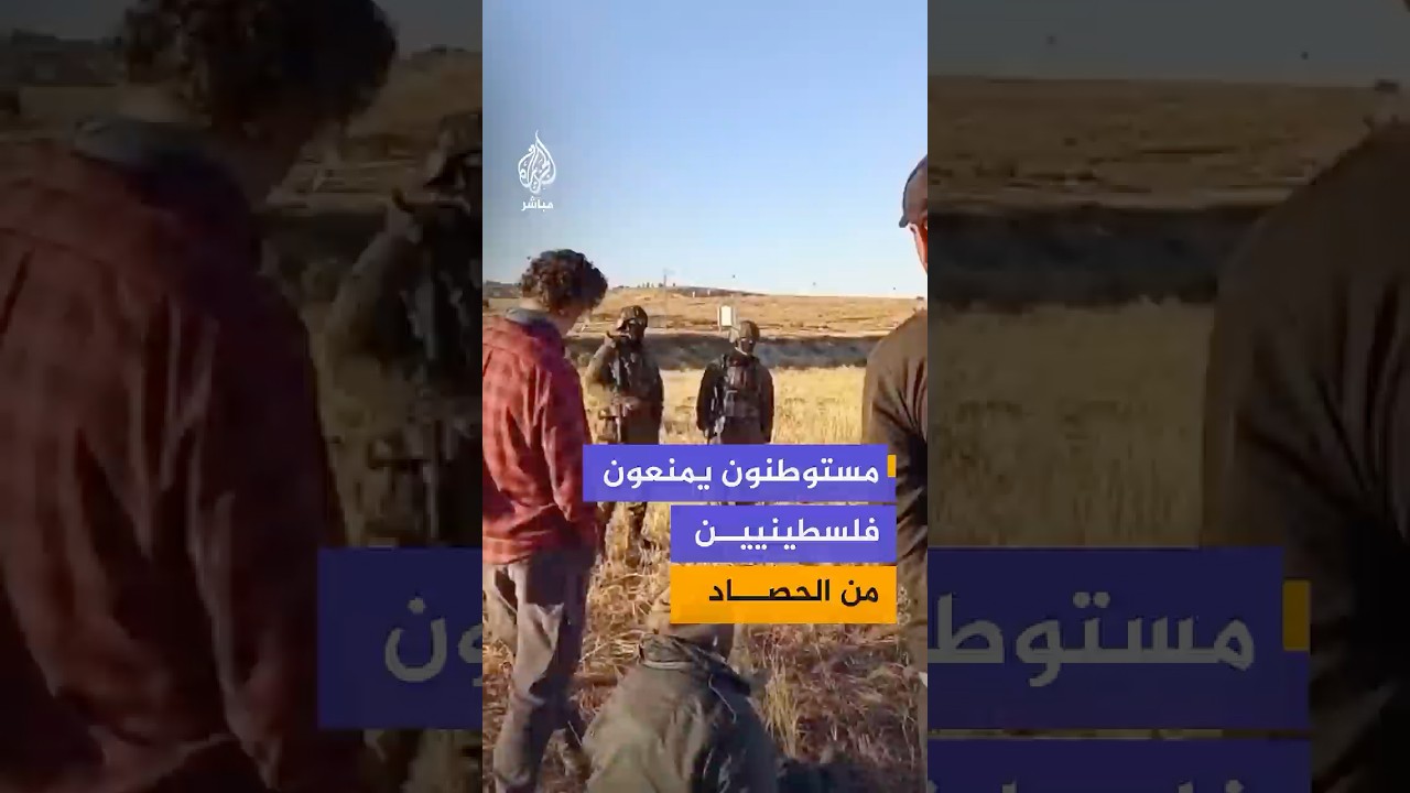 مستوطنون يستفزون مزارعين ويمنعون آخرين من حصاد محاصيلهم في مسافر يطا جنوبي الخليل