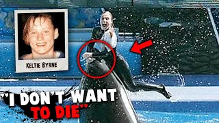 The Horrific Story of SeaWorld Trainer Keltie Byrne's Last Moments