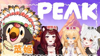 【直播】【遊戲】PEAK｜跟朋友們一起再次爬山！希望目標登頂！！Ft.莓子熊、狸野梨、司淇【菜姬】
