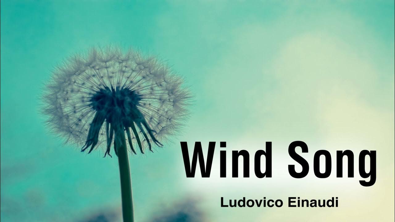 Ludovico Einaudi - Wind Song (Official Live Performance Video) 