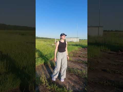 Необычная находка в Башкирии #путешествияпороссии #путешествие_по_россии #тревелблог #башкирскиймёд